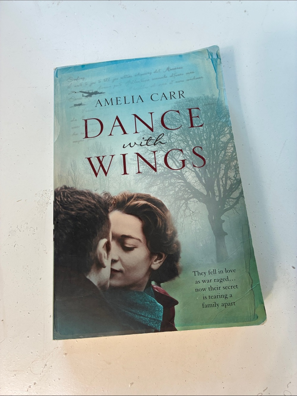 Dance with Wings Paperback Novel By Amelia Carr